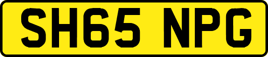 SH65NPG