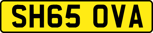 SH65OVA