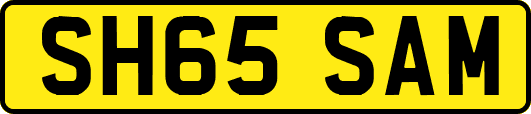 SH65SAM