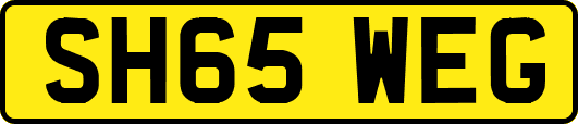 SH65WEG