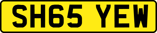 SH65YEW
