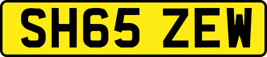 SH65ZEW
