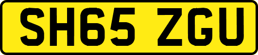 SH65ZGU