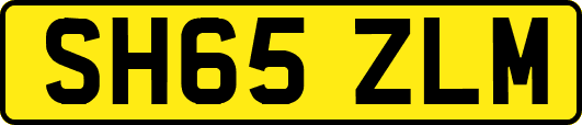 SH65ZLM