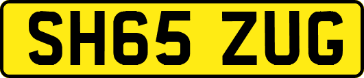 SH65ZUG