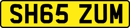 SH65ZUM