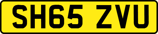 SH65ZVU