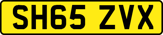 SH65ZVX