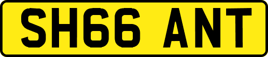 SH66ANT