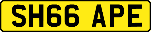SH66APE