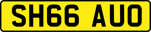 SH66AUO