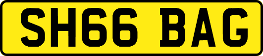 SH66BAG