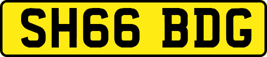 SH66BDG