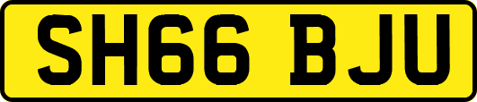 SH66BJU
