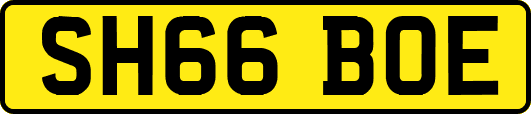 SH66BOE