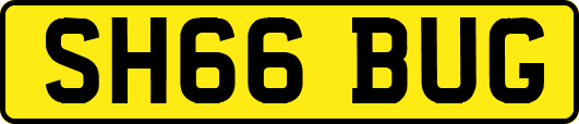 SH66BUG