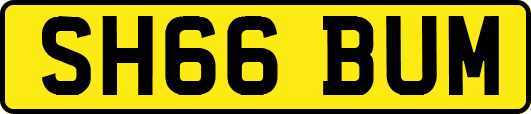 SH66BUM