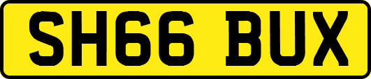 SH66BUX