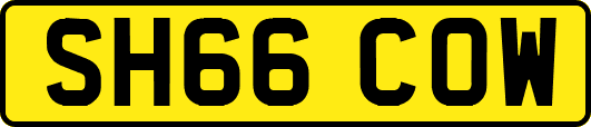 SH66COW