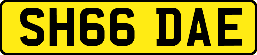 SH66DAE