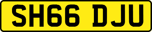 SH66DJU