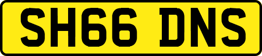 SH66DNS