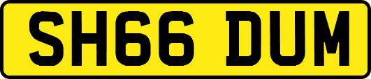 SH66DUM