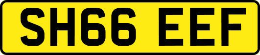 SH66EEF