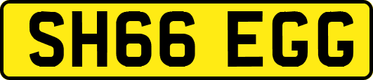SH66EGG