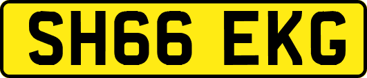 SH66EKG