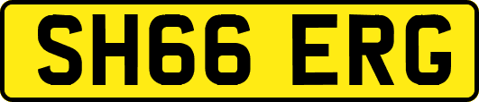 SH66ERG