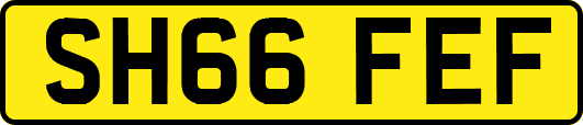 SH66FEF