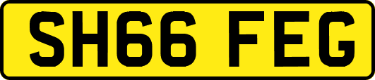 SH66FEG