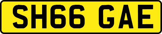 SH66GAE