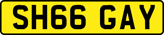 SH66GAY
