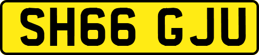 SH66GJU