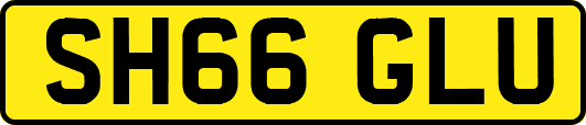 SH66GLU