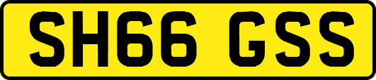 SH66GSS