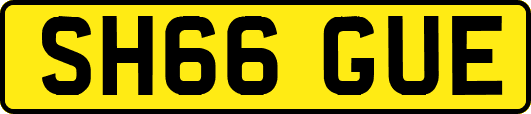 SH66GUE