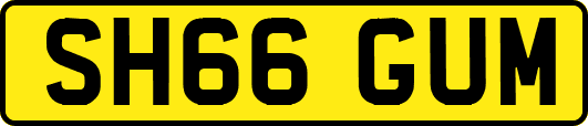 SH66GUM