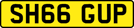 SH66GUP