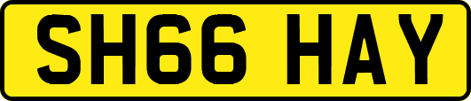 SH66HAY