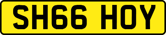 SH66HOY