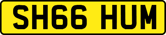 SH66HUM
