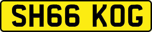 SH66KOG