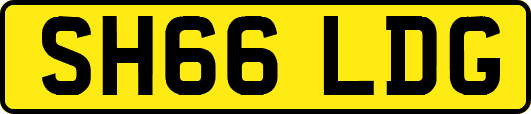 SH66LDG
