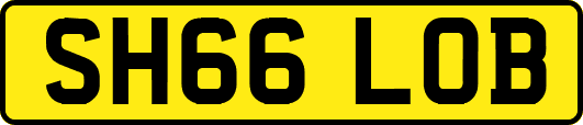 SH66LOB
