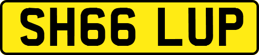 SH66LUP