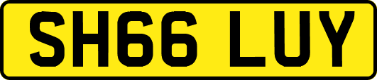 SH66LUY