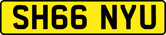 SH66NYU